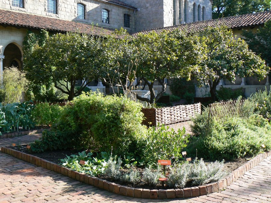 The Cloisters: The Cloisters  013